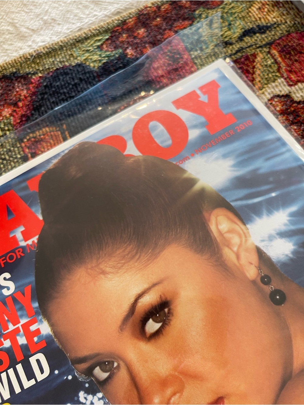 Playboy Magazine November 2010 Arianny Celeste!!!!!